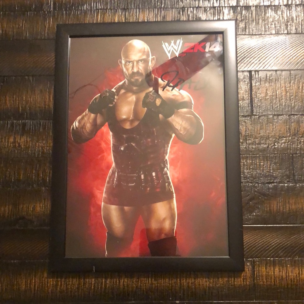 WWE Ryback Picture